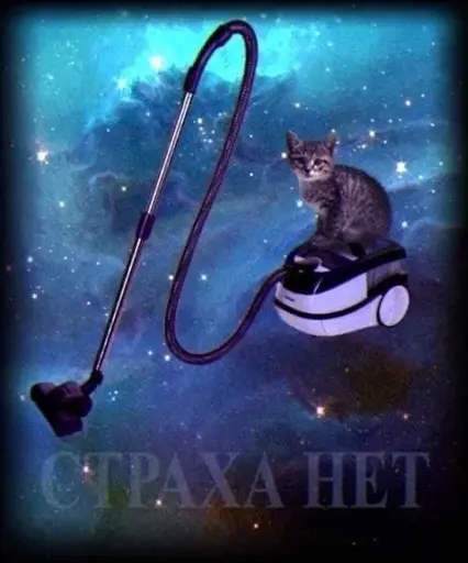 A cat in space sitting on a vaccum cleaner with a half-transparent text saying "no fear" in Russian.